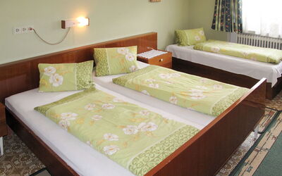 Logement:&nbsp;Elisabeth 613.1