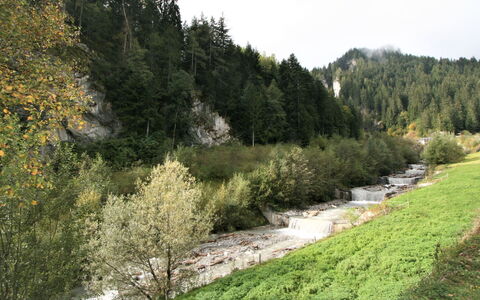 Ratschnhäusl: Plante, Communauté Des Plantes, L'Eau, Paysage Naturel, Arbre, Mélèze, Cours D'Eau, Montagne, Banque