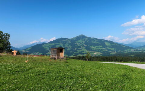 Entalhof: Ciel, Plante, Montagne, Nuage, Écorégion, Paysage Naturel, Arbre, Fleur, Montagnes