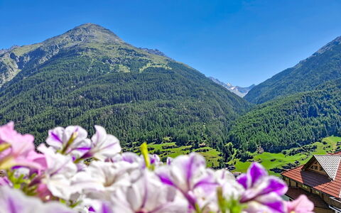 Alpenblick: Montagne, Montagnes Relief, Fleur, Colline, Chaîne De Montagnes, Montagnes, Station De Montagne, Paysage, Vallée, Crête