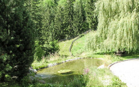 Jagdhaus Biedenegg: Plante, L'Eau, Ressources En Eau, Communauté Des Plantes, Paysage Naturel, Mélèze, Cours D'Eau, Arbre, Banque