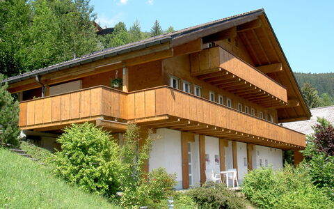 Wychel: Plante, Ciel, Propriété, Fenêtre, Bâtiment, Arbre, Nuage, Bois, Maison, Lot Terre