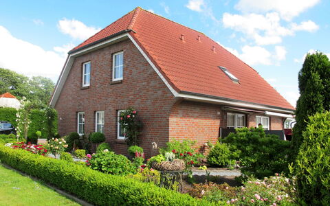 Rosenboom: Plante, Ciel, Nuage, Propriété, Fleur, Fenêtre, Lot Terre, Bâtiment, Arbre, Maison