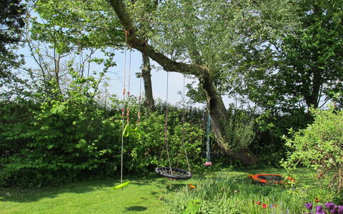 Haus am See: Plante, Communauté Des Plantes, Arbre, Paysage Naturel, Terrestre Des Plantes, Herbe, Couverture De Sol, Paysage, Arbuste, Prairie