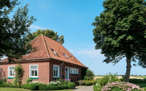 Huuske am Polder: Maison, Domicile, Propriété, Zone Résidentielle, Chalet, Biens, Bâtiment, Arbre, Immobilier, Ciel