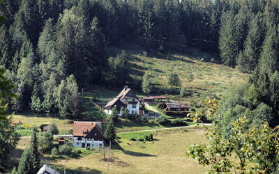Tillisch