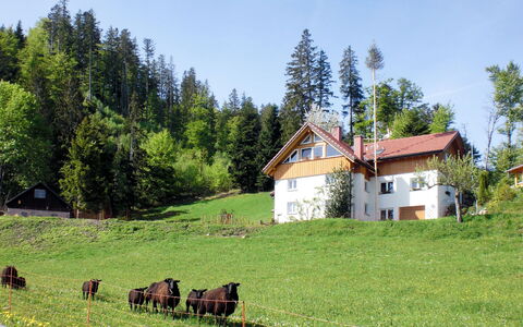 Mühlenmichelshäusle: Pâturage, Paysage Naturel, Prairie, Propriété, Environnement Naturel, Prairie, Ferme, Zone Rurale, Ranch, Maison