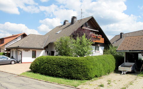 Schleuniger: Propriété, Maison, Zone Résidentielle, Domicile, Toit, Chalet, Immobilier, Bâtiment, Quartier, Arbuste