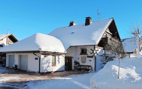 Schleuniger: Ciel, Bâtiment, Neige, Fenêtre, Maison, Chalet, Plante, Gelé, Siding, Paysage