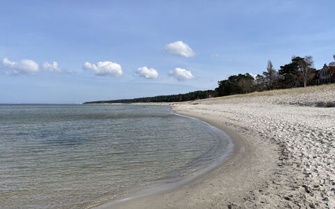 Am Walde: Plage, Côte, Rive, Cotiers Et Relief Océaniques, Mer, Banque, Le Sable, Océan, Vague