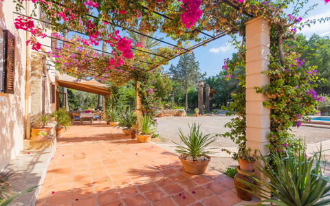 Ses Sitjoles: Plante, Fleur, Bâtiment, Ciel, La Nature, Fenêtre, Végétation, Paysage, Immobilier, Surface De La Route