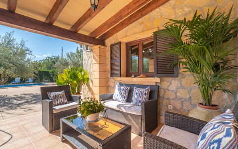 Son Catlar: Plante, Propriété, Meubles, Plante D'Appartement, Pot De Fleur, Bleu Azur, Design Intérieur, Ombre, Bois, Architecture