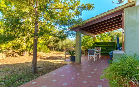 Estrella: Plante, Propriété, Ciel, Table, Feuille, Ombre, Chaise, Mobilier De Jardin, Arbre, Bois