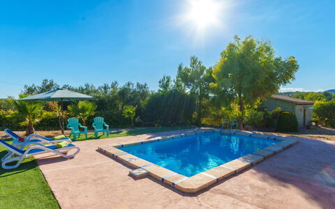 Estrella: L'Eau, Ciel, Plante, Piscine, La Nature, Ombre, Arbre, Bâtiment, Herbe, Mobilier De Jardin