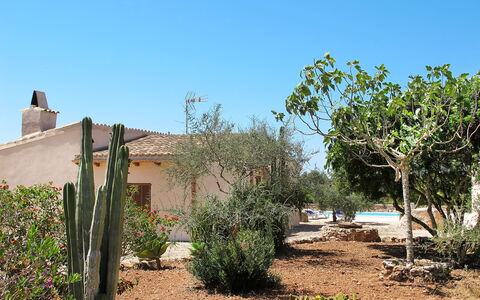 S'Almunia: Arbre, Lot Terre, Plante, Paysage, Communauté Des Plantes, Adaptation, Cactus, Formations Arbustives, Immobilier, Sol