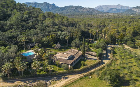 Can Ferre Nou: Arbre, Biens, Plantation, Hacienda, Eco Hôtel, Ferme, Manoir, Villa, À Feuilles Persistantes