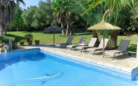 Can Segue: Piscine, Propriété, Loisir, Arrière-Cour, Immobilier, Recours, Balancelle, Meubles, Mobilier De Jardin, Patio