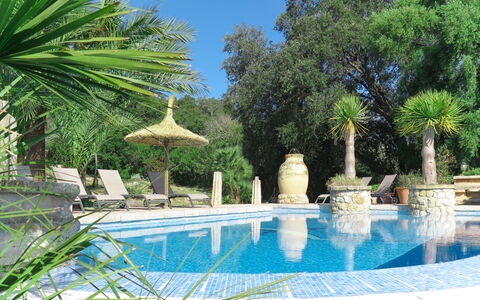 Can Segue: Piscine, Propriété, Arbre, Palmier, Immobilier, Bleu Majorelle, Vacances, Botanique, Arecales, Bâtiment