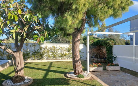Villa Lolin: Jardin, Ombre, Suppression Des Plantes Ligneuses, Pelouse, Aménagement Paysager, Cour, Arrière-Cour, Pot De Fleur