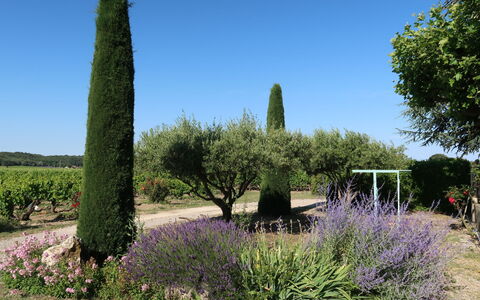 Le Mas: Plante, Ciel, Communauté Des Plantes, Fleur, Paysage Naturel, Arbre, Lot Terre, Végétation, Herbe, Arbuste