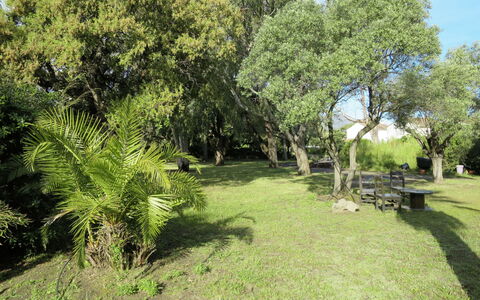 Les Chênes: Arbre, Végétation, Propriété, Paysage Naturel, Herbe, Lot Terre, Réserve Naturelle, Maison, Immobilier, Plante