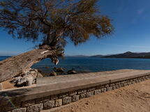 L'Ile Rousse 604