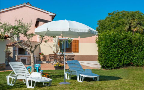 Medica: Plante, Ciel, Meubles, Communauté Des Plantes, Parapluie, Bleu Azur, Bâtiment, Ombre, Mobilier De Jardin, Arbre