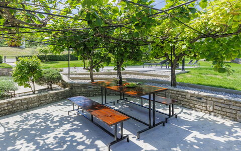 Carlo: Plante, Table, Extérieur Banc, Botanique, Ombre, Arbre, Mobilier De Jardin, Design Urbain, Loisir, Surface De La Route