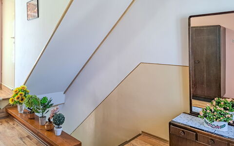 Mirjana: Plante, Propriété, Bâtiment, Fleur, Plante D'Appartement, Pot De Fleur, Bois, Maison, Design Intérieur, Peindre