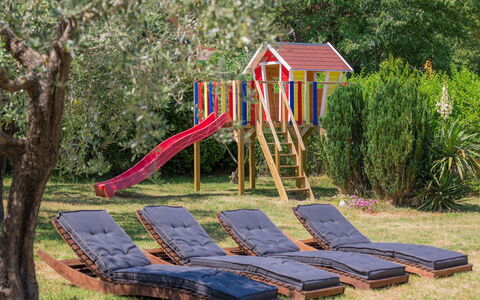 Gea: Plante, La Nature, Arbre, Ombre, Lot Terre, Bois, Herbe, Chute, Loisir, Espace Public