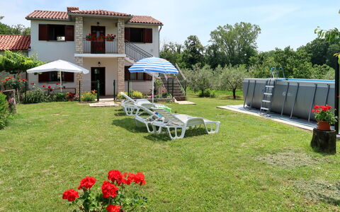 Fortica: Plante, Fleur, Ciel, Bâtiment, Nuage, Arbre, Lot Terre, Chaise, Mobilier De Jardin, Herbe
