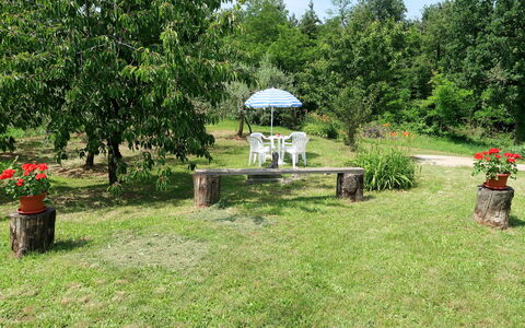 Fortica: Jardin, Herbe, Propriété, Cour, Pelouse, Lot Terre, Arrière-Cour, Botanique, Arbre, Maison
