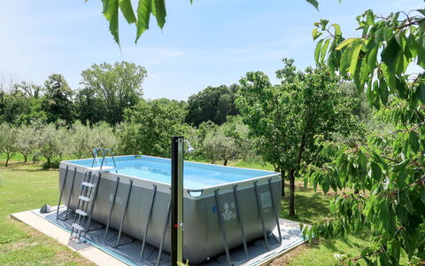 Fortica: Piscine, Maison, Arbre, Architecture, Immobilier, Communauté Des Plantes, Plante, Loisir, Bâtiment
