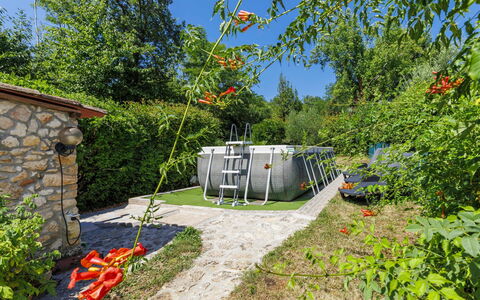 Paolici: Jardin, Arrière-Cour, Aménagement Paysager, Parc, Batiments Jardin