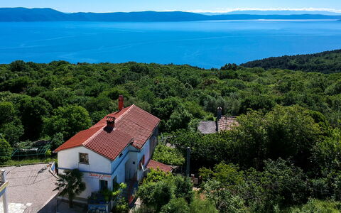Adalgisa: Ciel, L'Eau, Bleu, Écorégion, Plante, Bleu Azur, La Nature, Paysage Naturel, Arbre, Lot Terre