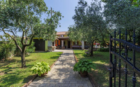 Donada: Plante, Ciel, Bâtiment, Arbre, Surface De La Route, Ombre, Lot Terre, Clôture, Herbe, Maison