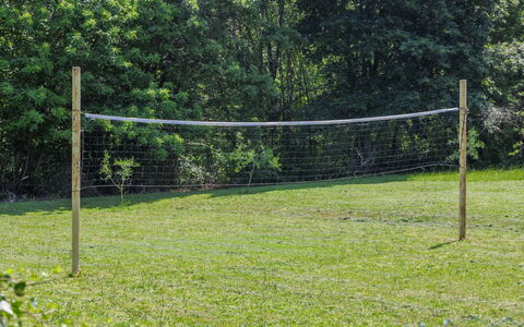 Donada: Plante, Lot Terre, Engrener, Arbre, Paysage Naturel, Ombre, Net, Couverture De Sol, Escrime Wire, Herbe