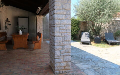 Lara: Plante, Bâtiment, Plante D'Appartement, Pot De Fleur, Maison, Arbre, Architecture, Bois, Ombre, Ciel