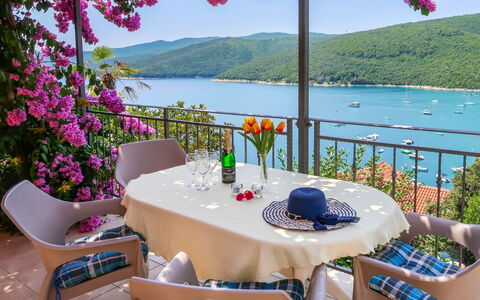 Klaudija: Fleur, L'Eau, Table, Plante, Meubles, Propriété, Bâtiment, Vert, Chaise, La Nature