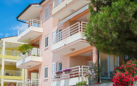 Egle: Bâtiment, Plante, Jour, Propriété, Fenêtre, Ciel, Architecture, Fleur, Quartier