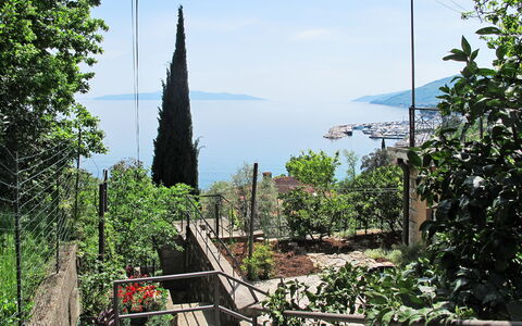 Hela: Végétation, Arbre, Botanique, Plante, Maison, Jardin, Architecture, Tourisme, Communauté Des Plantes, Vacances