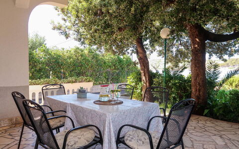 Noa: Table, Plante, Meubles, Propriété, Chaise, Arbre, Tableau De Plein Air, Mobilier De Jardin, Bois, Ombre