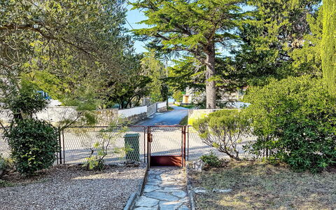 Gottwald: Arbre, Feuille, Branche, Végétation, Arbuste, Jardin, Printemps, Suppression Des Plantes Ligneuses, Ombre, Passerelle