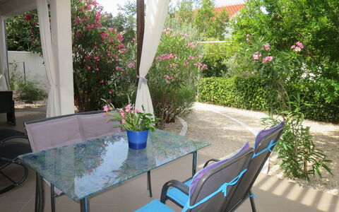 Katarina: Fleur, Plante, Meubles, Table, Propriété, Chaise, La Nature, Bleu Azur, Botanique, Mobilier De Jardin