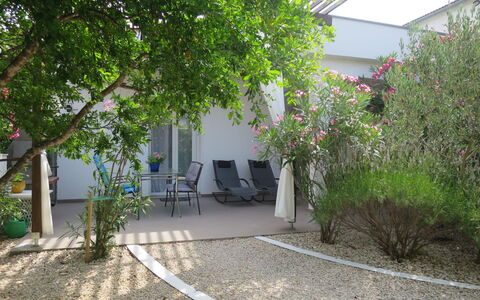 Katarina: Plante, Propriété, Communauté Des Plantes, Bâtiment, Feuille, Surface De La Route, Mobilier De Jardin, Chaise, Ombre, Fleur