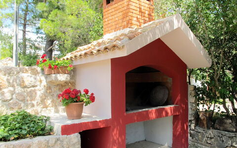 Mirjana: Plante, Fleur, Botanique, Arbre, Pot De Fleur, Bâtiment, Chalet, Ombre, Toit, Plante D'Appartement