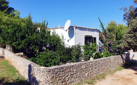 Lila: Plante, Ciel, Bâtiment, Communauté Des Plantes, Arbre, Fenêtre, Chalet, Ombre, Paysage, Arbuste