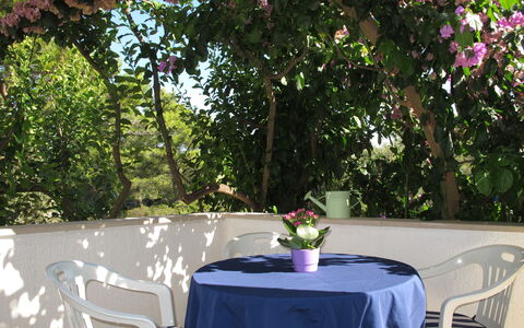 Lila: Table, Fleur, Meubles, Propriété, Plante, Chaise, Vaisselle, Mobilier De Jardin, Design Intérieur, Ombre