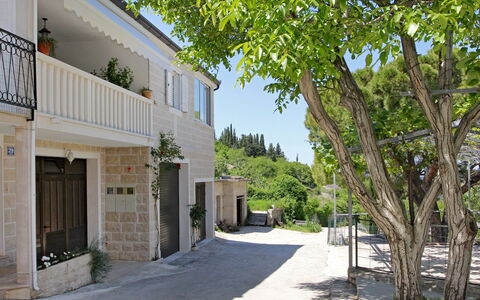 Edo: Propriété, Bâtiment, Maison, Quartier, Immobilier, Zone Résidentielle, Architecture, Ville, Domicile, Arbre