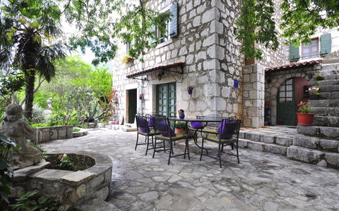 Podcempres: Plante, Bâtiment, Table, Pot De Fleur, Fenêtre, Arbre, Chaise, Surface De La Route, Quartier, Loisir